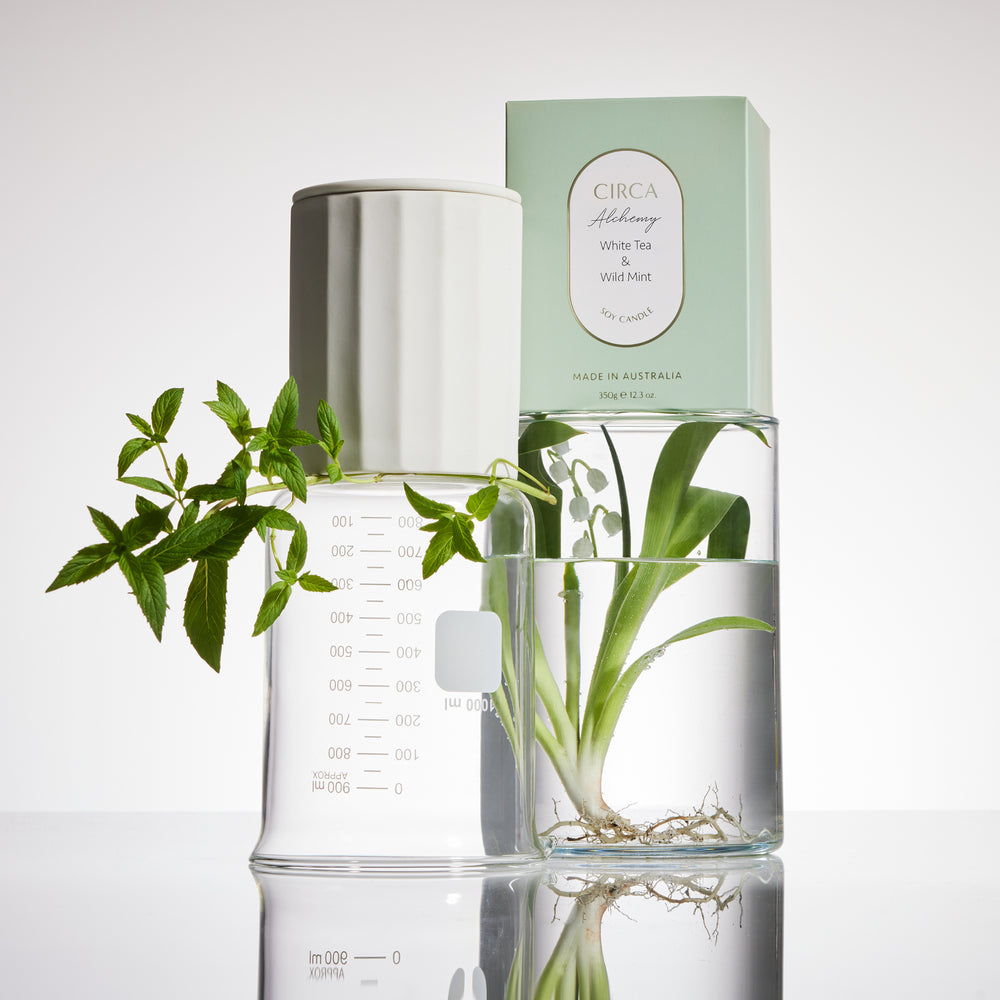 350g Candle - White Tea and Wild Mint