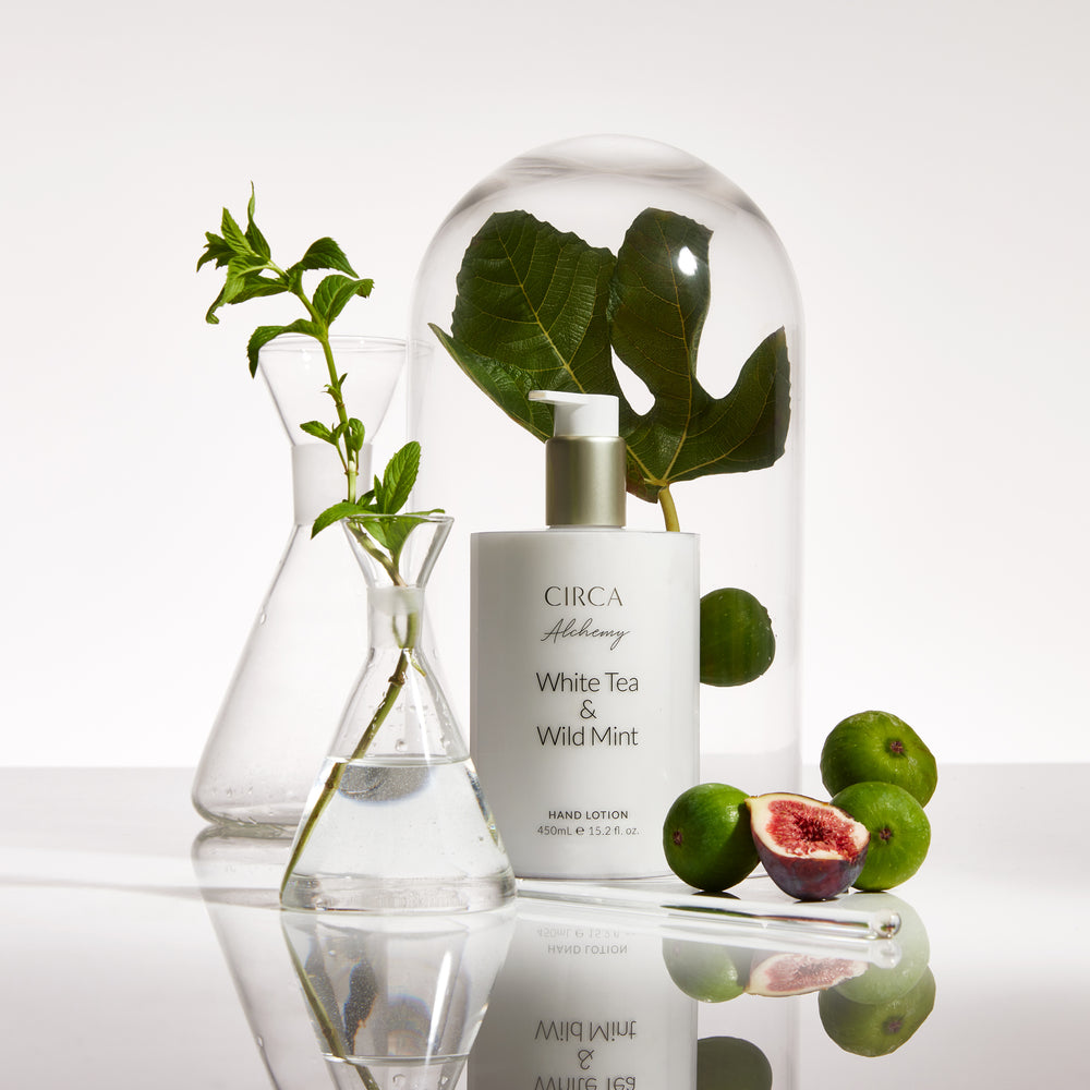 450mL Hand Lotion -  White tea & wild Mint