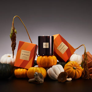 In Season - 380g Candle